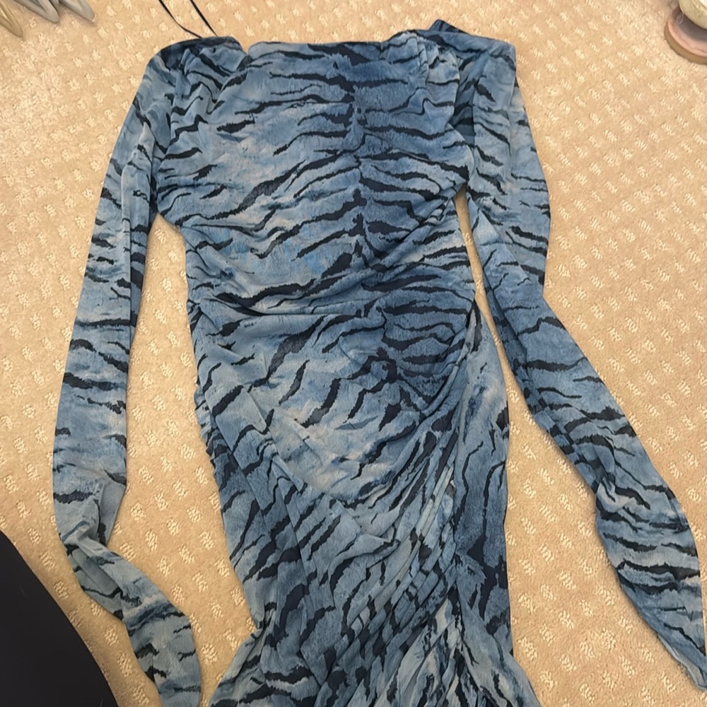 Zara zebra dress